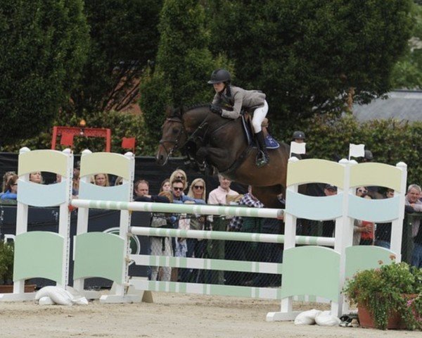 horse GCS Rosie (Irish Sport Horse, 2017, from Luidam)