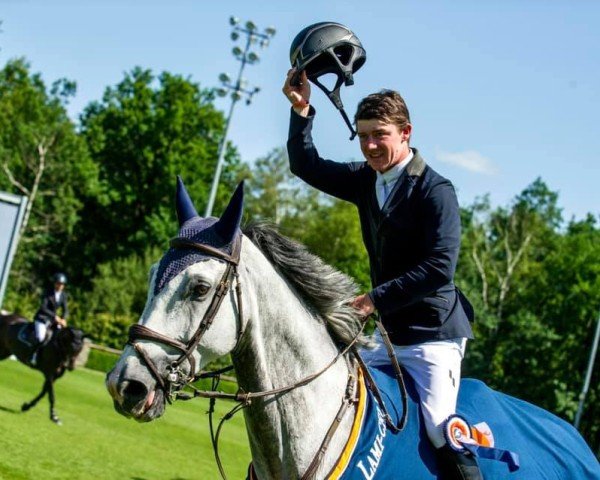 jumper HHS Fast Forward (Irish Sport Horse, 2012, from Fortunus)