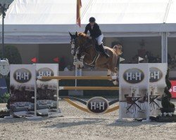 Springpferd Rolex van de Grenshoeve (Belgisches Warmblut, 2017, von Ogano Sitte)