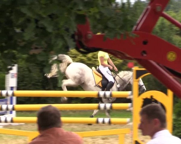 Pfingst-Reitturnier Kreuzkrug-Raddestorf 2014
