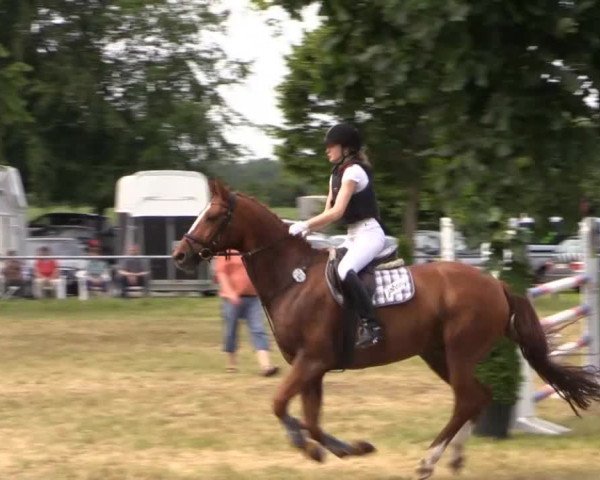 Pfingst-Reitturnier Kreuzkrug-Raddestorf 2014