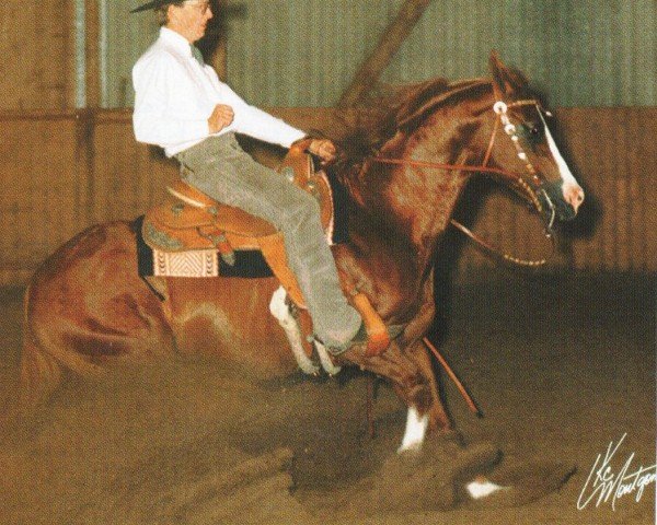 stallion Desperado Malbec (Quarter Horse, 1978, from Docs Malbec)