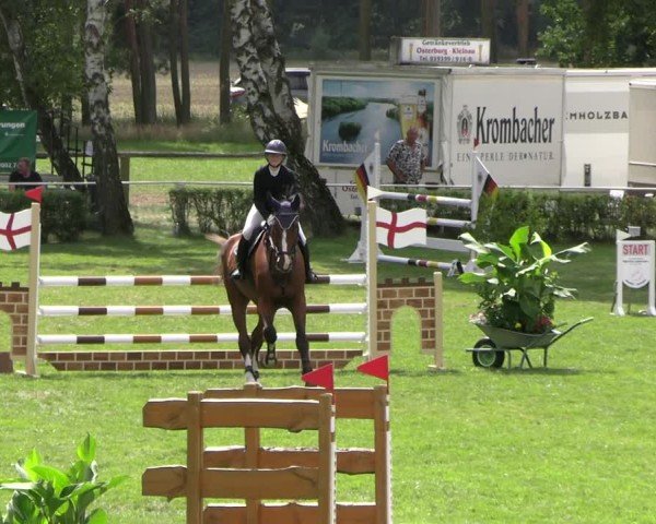 Reitturnier Etingen 2025