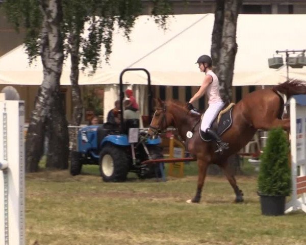 Pfingst-Reitturnier Kreuzkrug-Raddestorf 2014