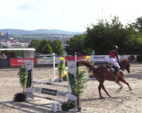 Reitturnier Bad Wildungen 2025