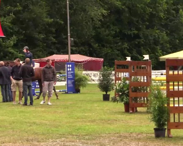 Pfingst - Dressur und Springturnier Borken 2014