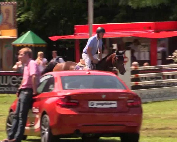 Pfingst - Dressur und Springturnier Borken 2014