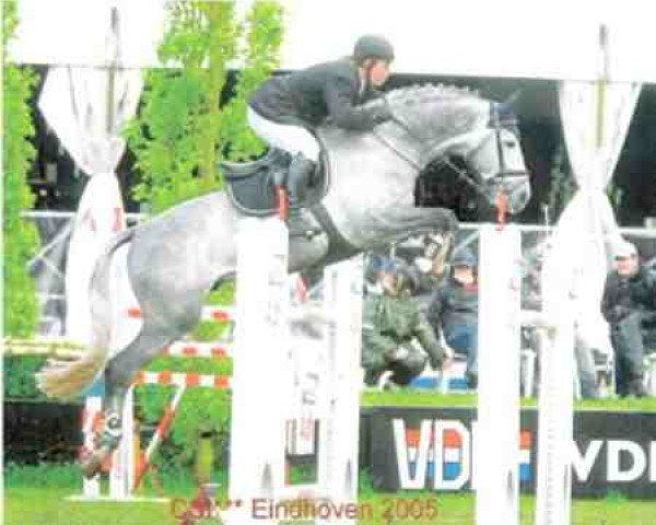 Deckhengst Mersley Mon Capatain (Holsteiner, 1998, von Calando I)