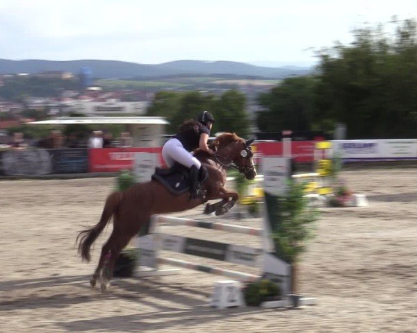 Reitturnier Bad Wildungen 2025