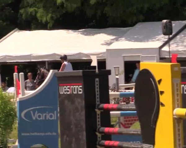 Pfingst - Dressur und Springturnier Borken 2014