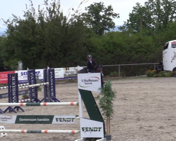 Reitturnier Bad Wildungen 2025