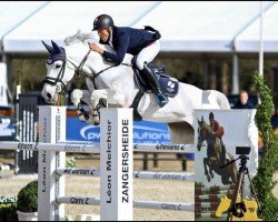 Springpferd Gracefull W (Belgisches Warmblut, 2006, von Cicero Z van Paemel)