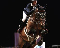 jumper Khaled O.l. (anglo european sporthorse, 2011, from Super Trooper de Ness)
