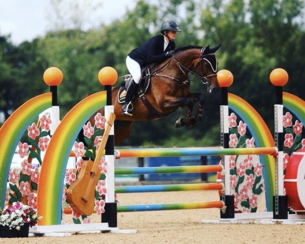 jumper Sandro Surprise (anglo european sporthorse, 2013, from Sandro Boy)