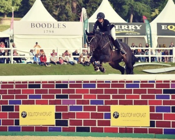 Jumper Renkum Rock und Roll (Anglo-European Sport Horse, 2008, from Renkum Off-Centre)