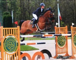 jumper Moon Zappa (Irish Sport Horse, 2007)
