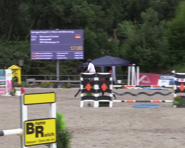 Reitturnier Bad Wildungen 2025