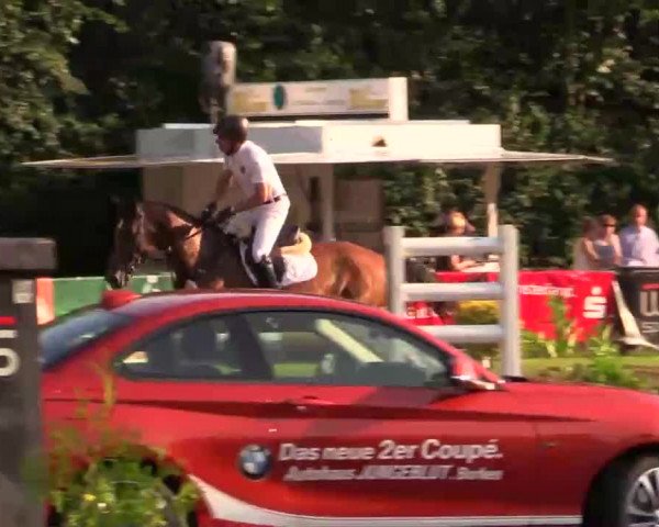 Pfingst - Dressur und Springturnier Borken 2014