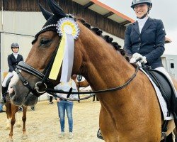 Dressurpferd Baron Toto (Oldenburger, 2019, von Blue Hors Baron)
