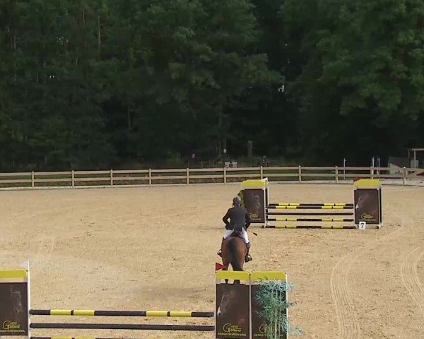 Reitturnier Tiefenhof/Opf. 2025