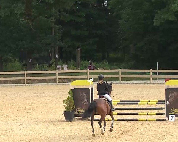Reitturnier Tiefenhof/Opf. 2025