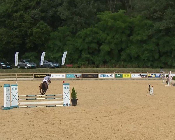 Reitturnier Tiefenhof/Opf. 2025