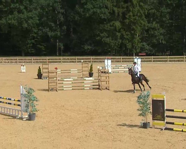 Reitturnier Tiefenhof/Opf. 2025