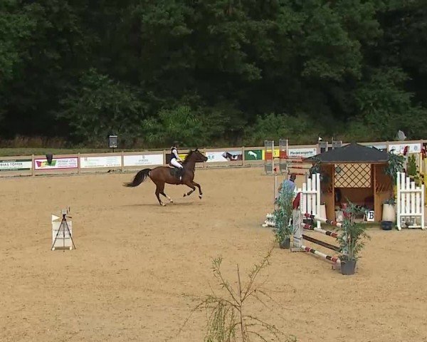 Reitturnier Tiefenhof/Opf. 2025