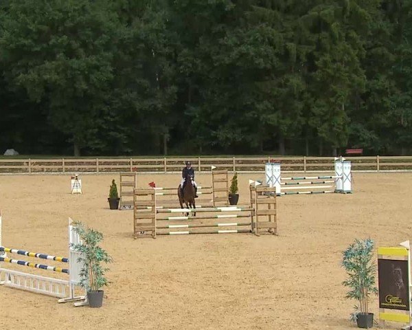 Reitturnier Tiefenhof/Opf. 2025