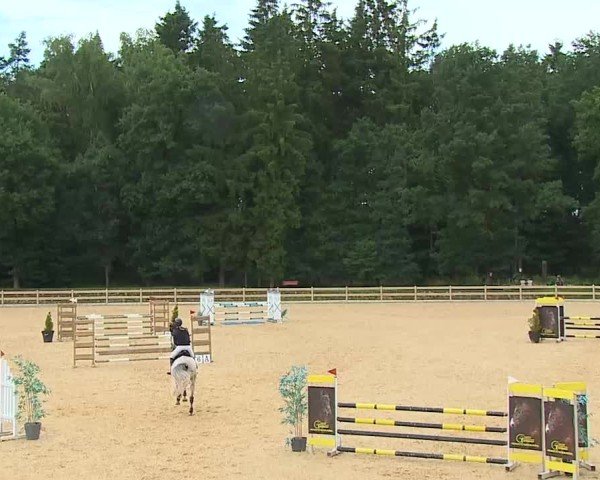 Reitturnier Tiefenhof/Opf. 2025