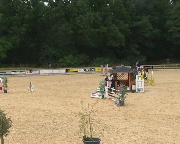 Reitturnier Tiefenhof/Opf. 2025