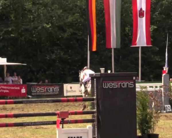 Pfingst - Dressur und Springturnier Borken 2014