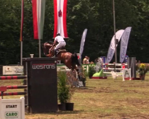 Pfingst - Dressur und Springturnier Borken 2014