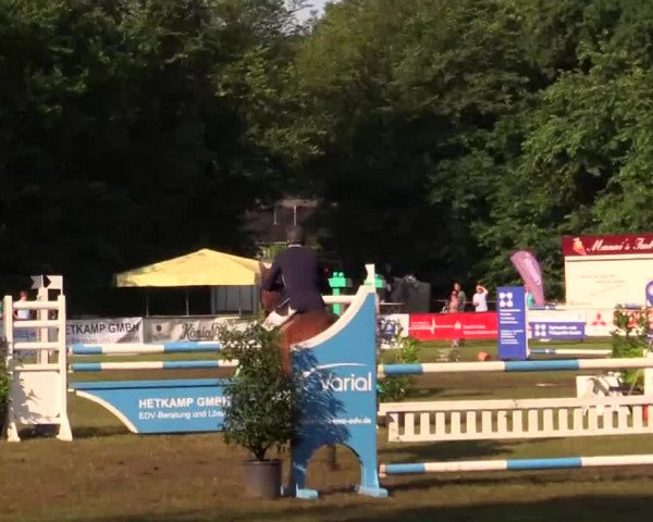 Pfingst - Dressur und Springturnier Borken 2014
