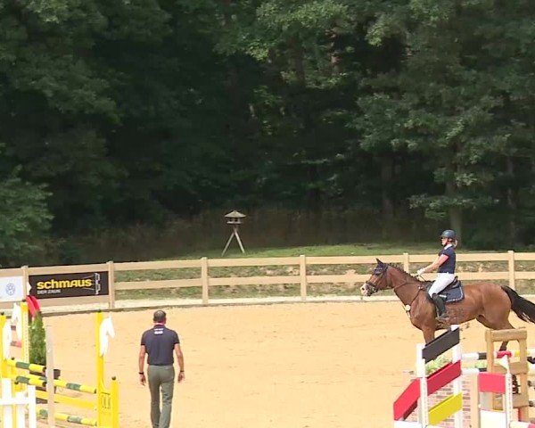 Reitturnier Tiefenhof/Opf. 2025