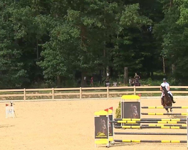 Reitturnier Tiefenhof/Opf. 2025