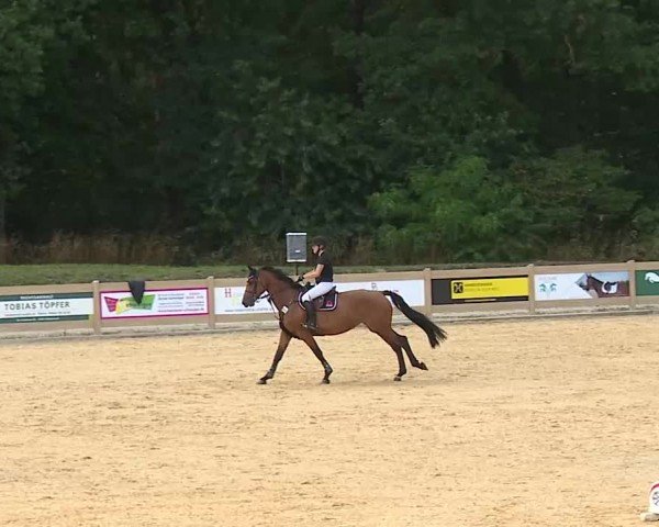 Reitturnier Tiefenhof/Opf. 2025