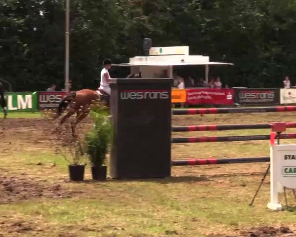 Pfingst - Dressur und Springturnier Borken 2014