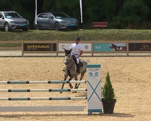 Reitturnier Tiefenhof/Opf. 2025