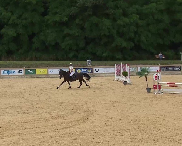 Reitturnier Tiefenhof/Opf. 2025