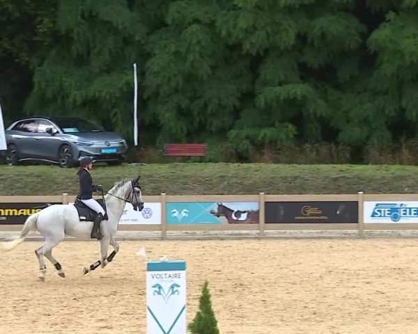 Reitturnier Tiefenhof/Opf. 2025