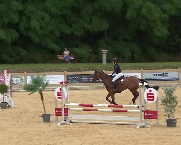 Reitturnier Tiefenhof/Opf. 2025