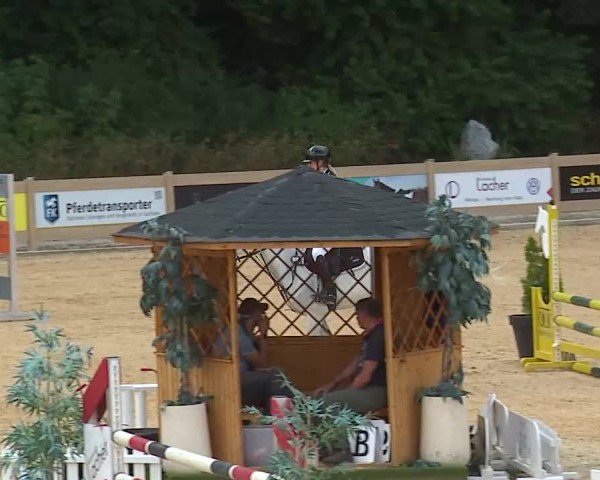 Reitturnier Tiefenhof/Opf. 2025