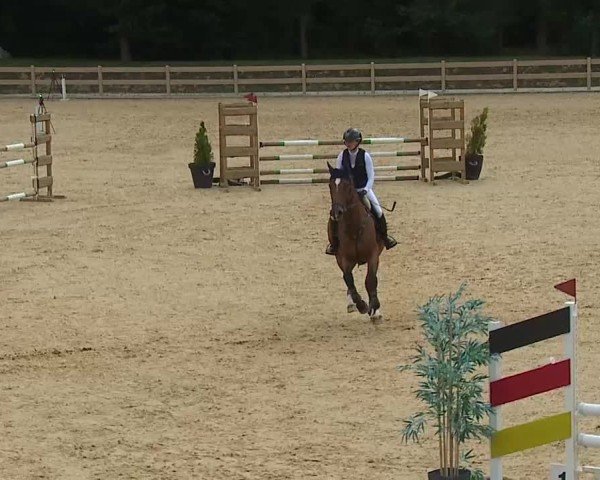 Reitturnier Tiefenhof/Opf. 2025