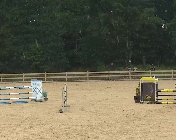 Reitturnier Tiefenhof/Opf. 2025