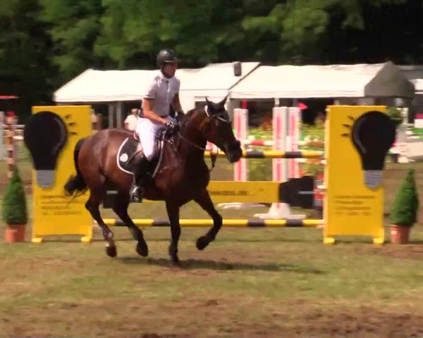 Pfingst - Dressur und Springturnier Borken 2014