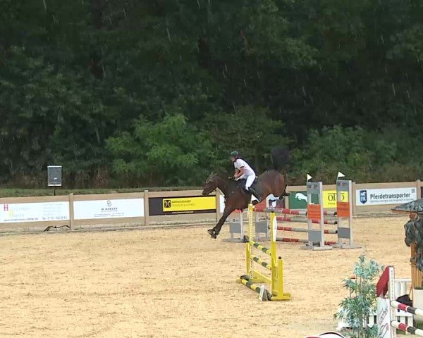 Reitturnier Tiefenhof/Opf. 2025
