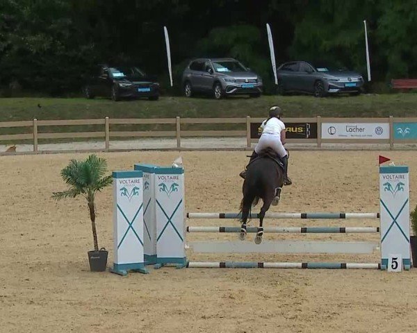 Reitturnier Tiefenhof/Opf. 2025