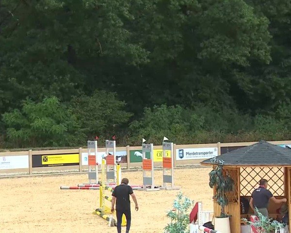 Reitturnier Tiefenhof/Opf. 2025