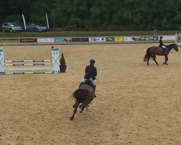 Reitturnier Tiefenhof/Opf. 2025